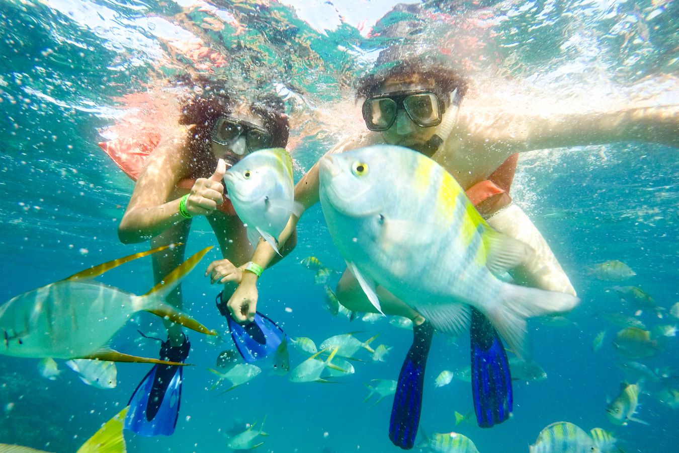 Snorkel en Los Cabos