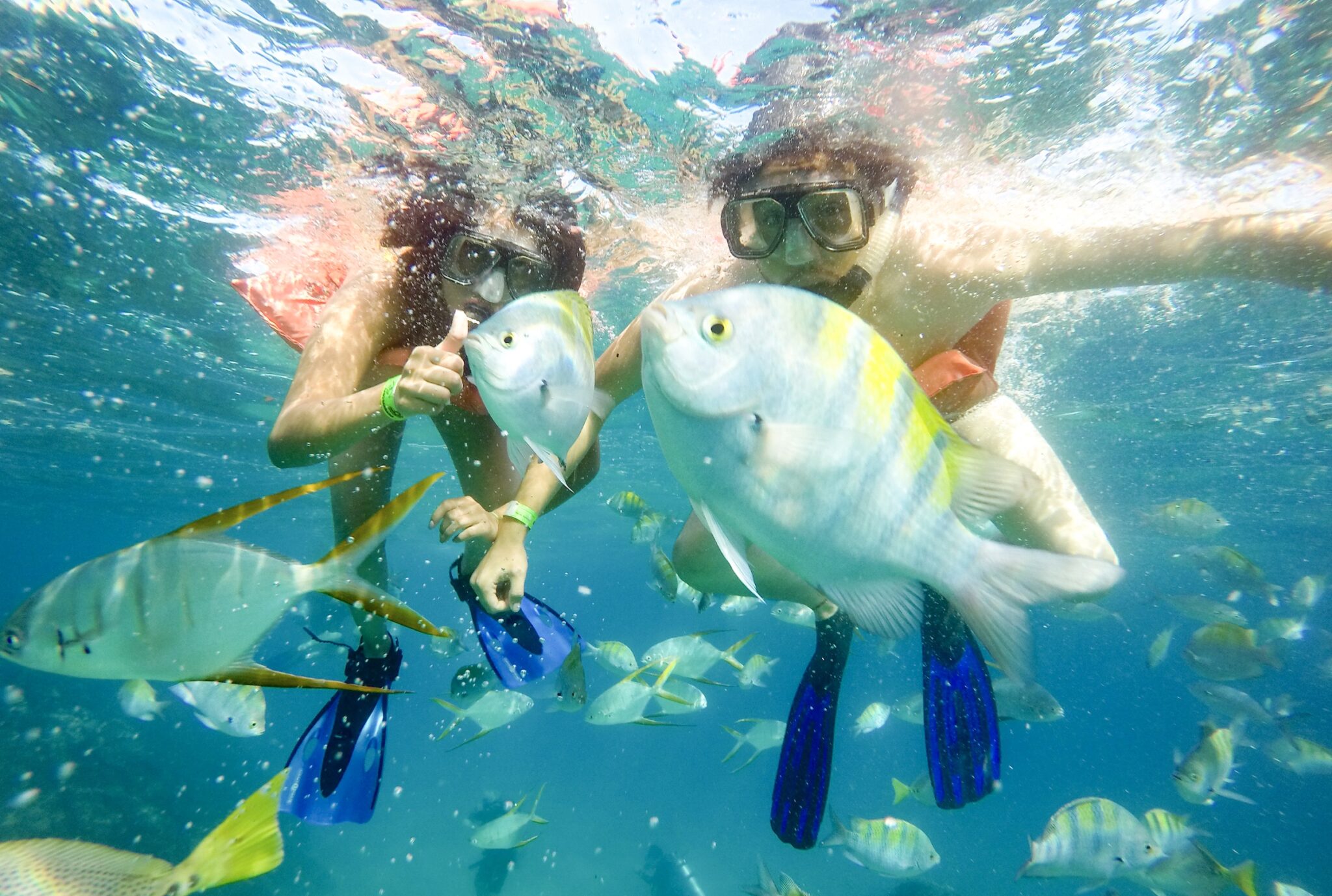 Cabo Snorkeling Tours Best Tours in Cabo by Esperanza's Tours
