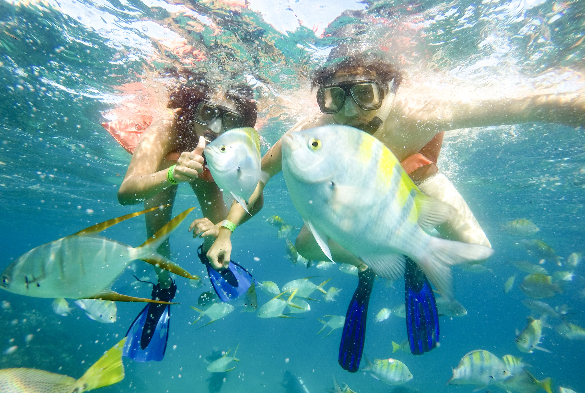 Cabo Snorkeling Tours