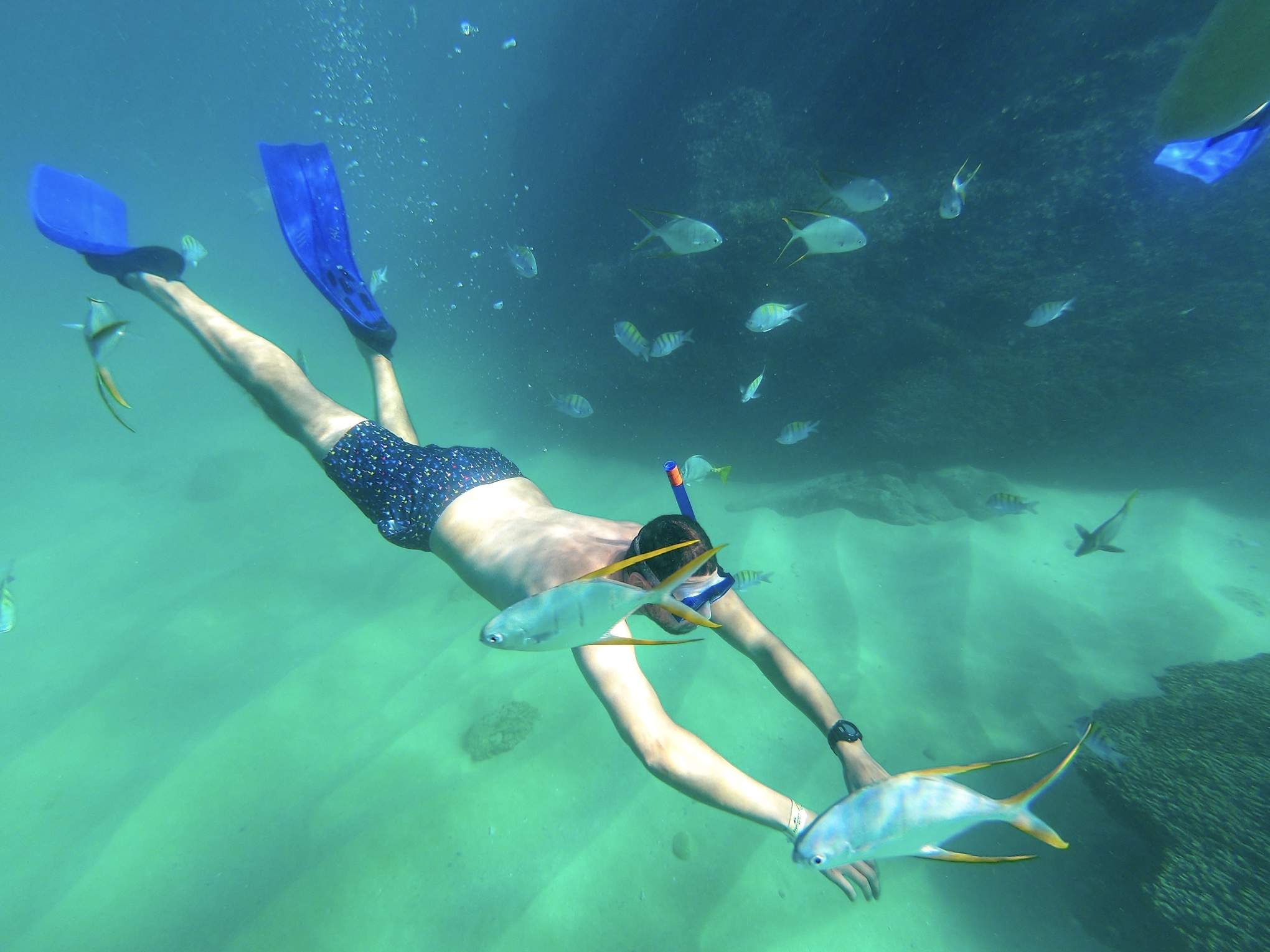 Snorkel in Los Cabos